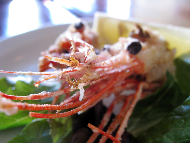 we_be_sushi_shrimp_head.jpg